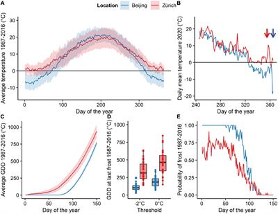 Higher spring phenological sensitivity to forcing temperatures of Asian compared to European tree species under low and high pre-chilling conditions